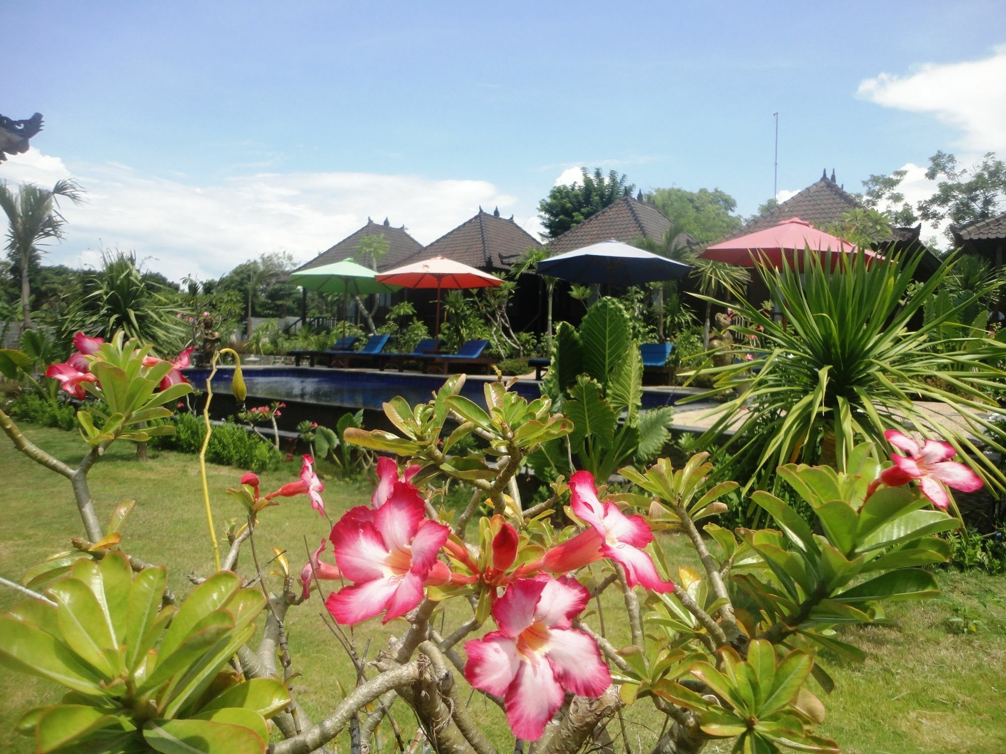 Dream Beach Berlian Lembongan Kültér fotó
